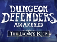 Dungeon Defenders: Awakened vai chegar à Switch em agosto