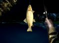 Ultimate Fishing Simulator chega à Xbox One ainda esta semana